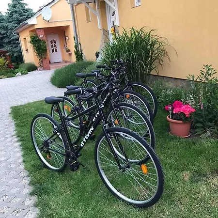 In - Balaton 51780 別荘 *